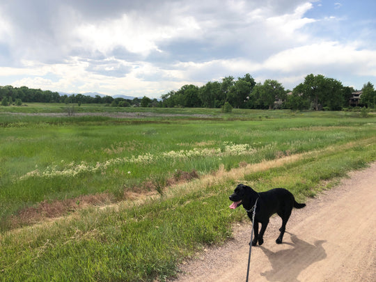 5 Hidden Benefits To Making Time To Go Outside