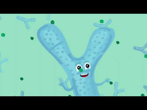 Transform ProBiotic 2 (Ortho Spore IG™) by Pounds Transformation™ - 90 Capsules